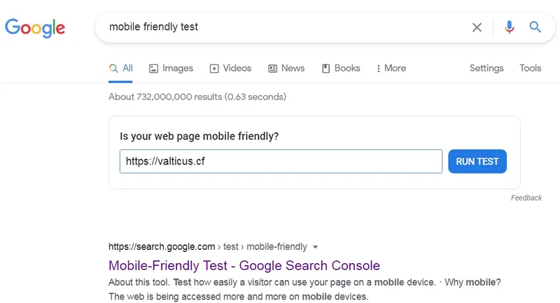 Mobile Friendly Test Search Query.